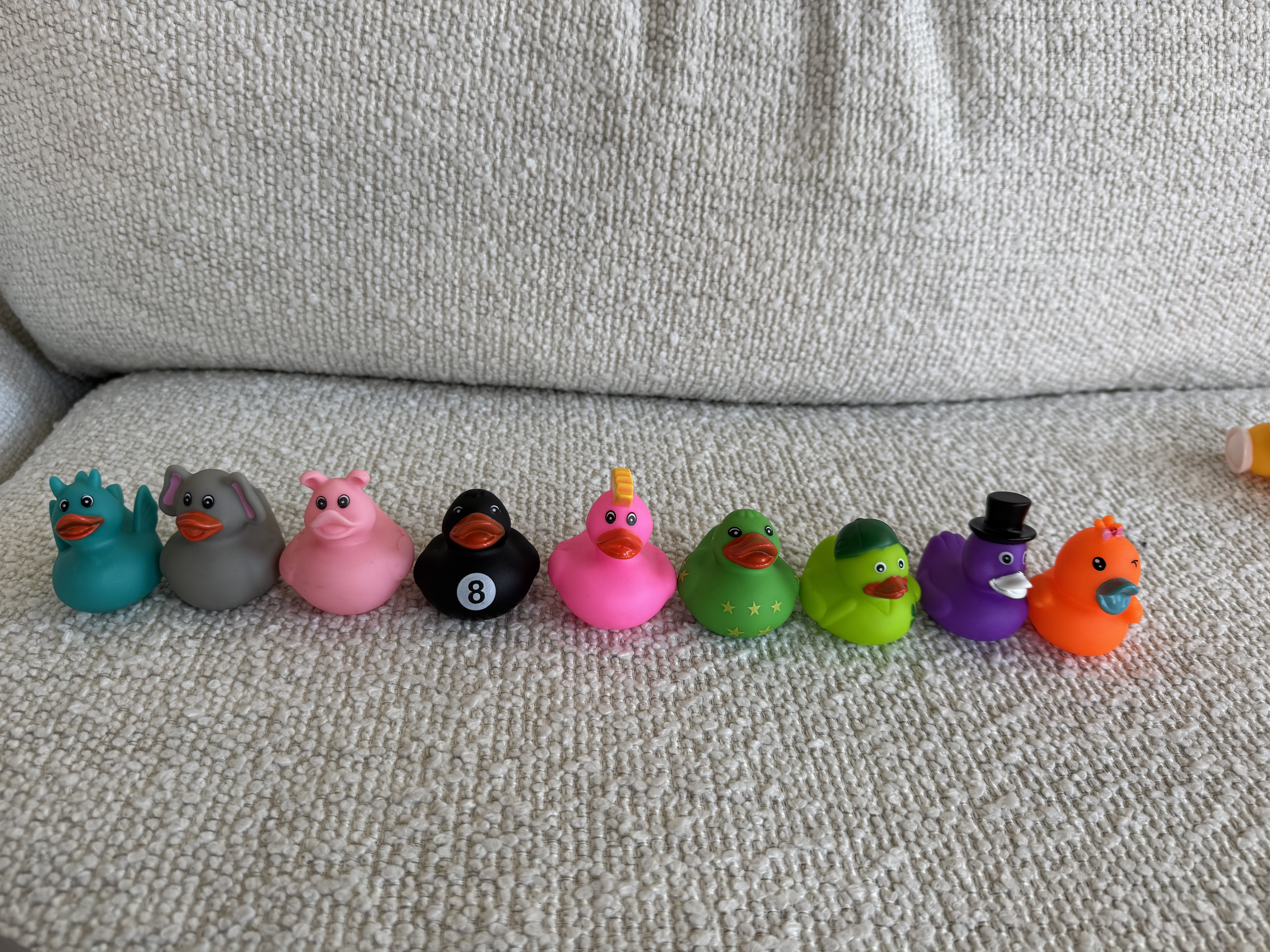 Duckys