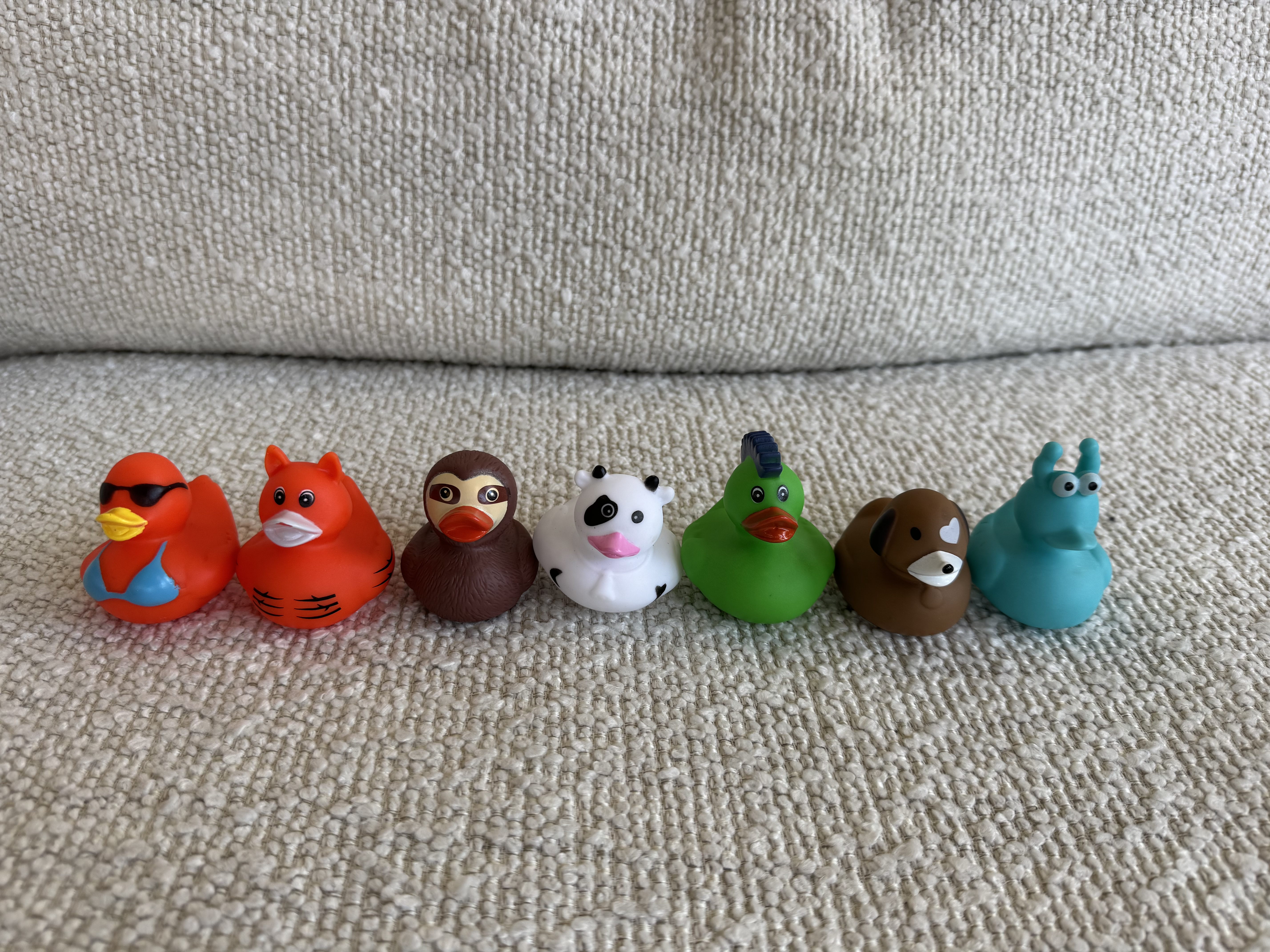 Duckys