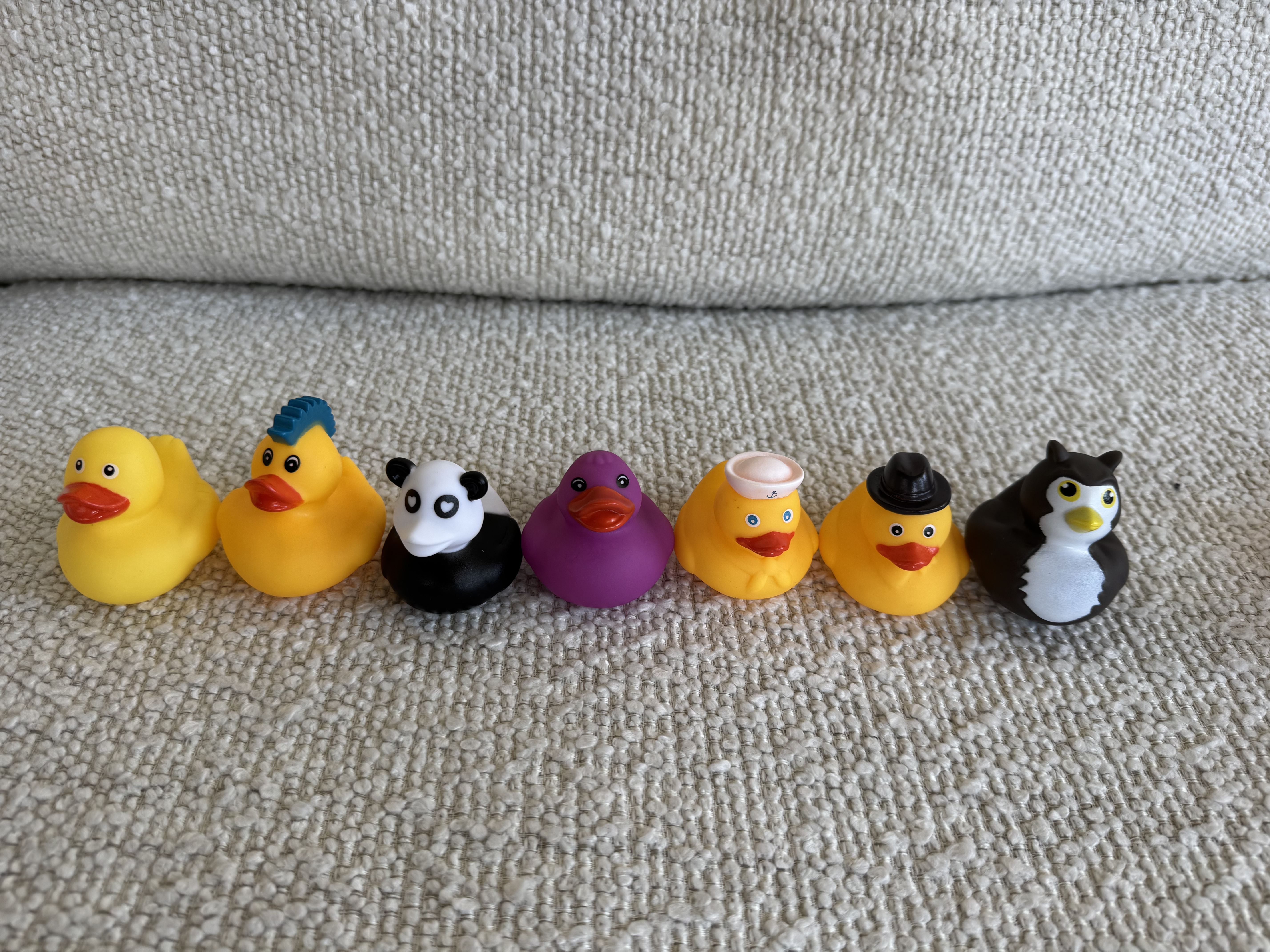 Duckys